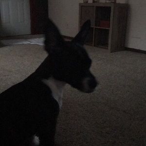 Meet your Posher, Crystal